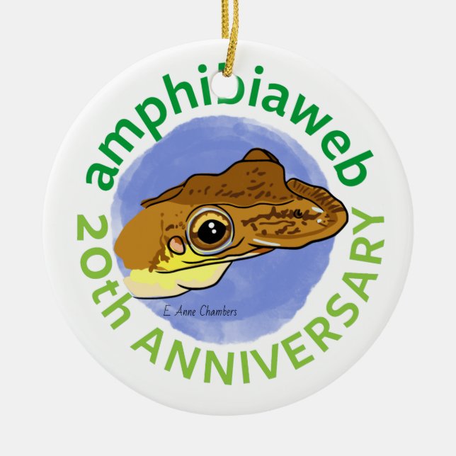 Décoration En Céramique #ArtYourAmphibian2020 - E. Anne Chambers - Diaglen (Devant)