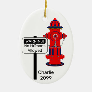 Décoration En Céramique Aucun être humain n'a autorisé incendie Hydrant Cé