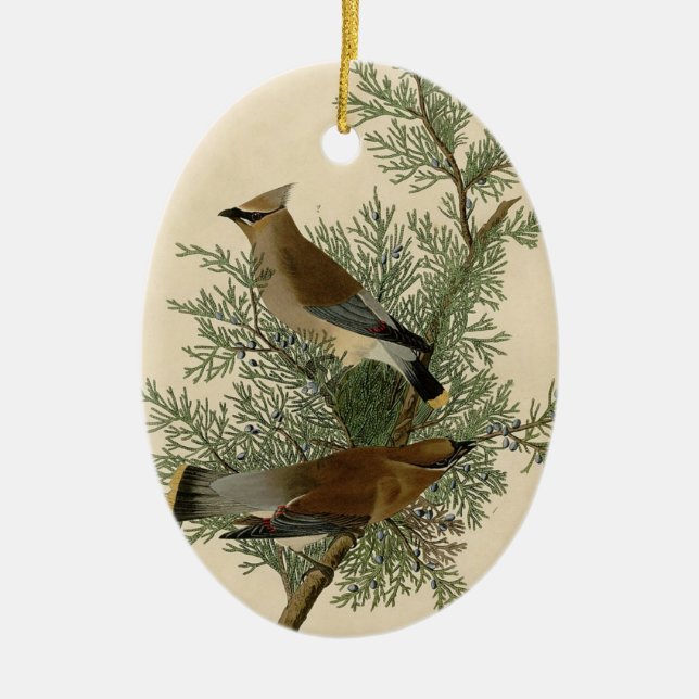 Décoration En Céramique Audubon Cèdre cire oiseau (Devant)