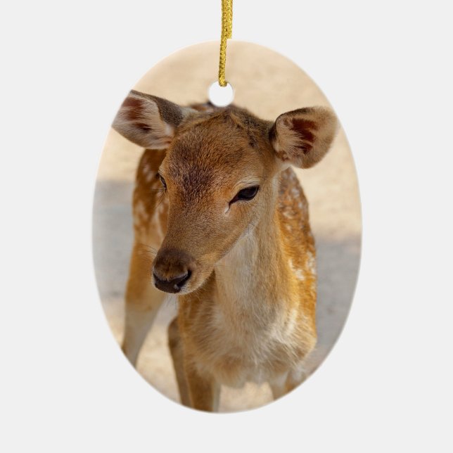 Décoration En Céramique Baby Deer (Devant)