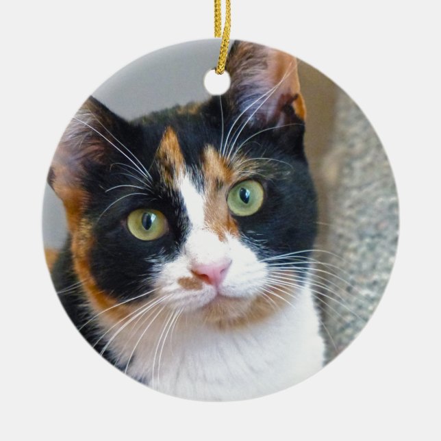 Décoration En Céramique Bandit (Devant)