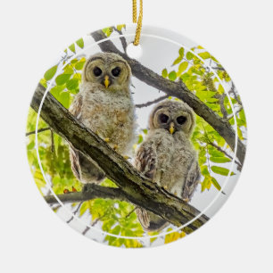 Décoration En Céramique Barred Owley
