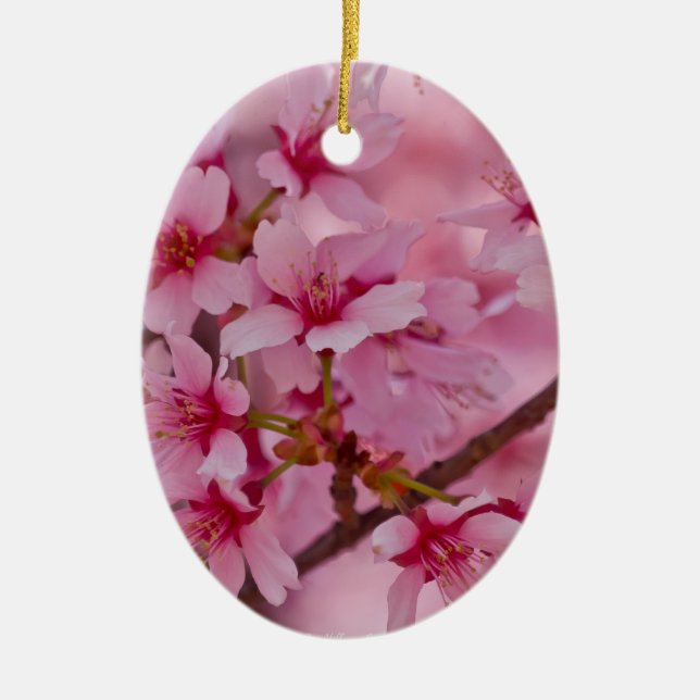Décoration En Céramique Bathed in Pink Japanese Cherry (Devant)