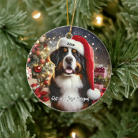 Beau chien de montagne bernois avec chapeau de San