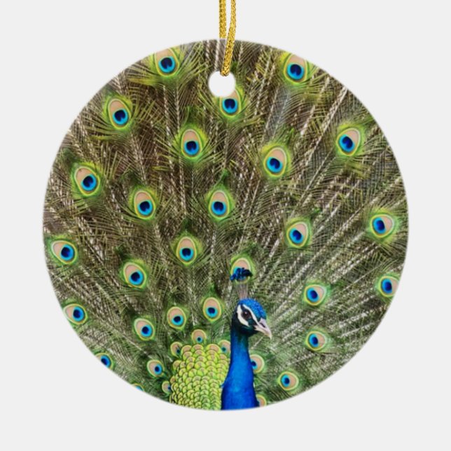 Décoration En Céramique Beau oiseau de paon (Devant)