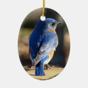 Décoration En Céramique Bel oiseau bleu