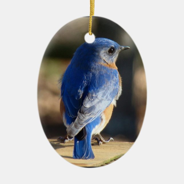 Décoration En Céramique Bel oiseau bleu (Devant)