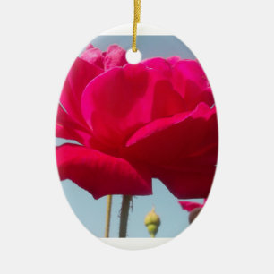 Décoration En Céramique Belle belle Rose céleste rouge contre bleu