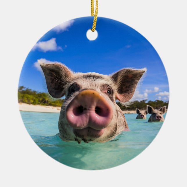 Décoration En Céramique Belle natation Cochon Exuma Bahamas (Devant)