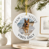 Berger Allemand GSD Vibes positives uniquement pho