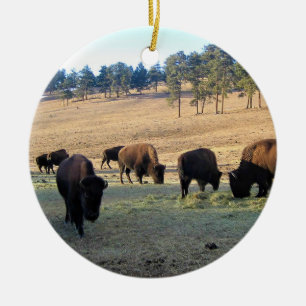 Décoration En Céramique Bison dans le Colorado