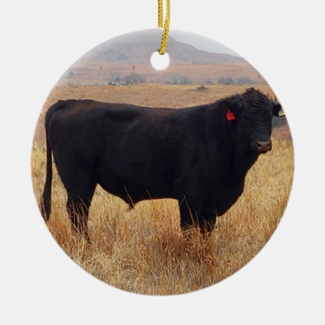 Décoration En Céramique Black Angus Steer Grazing (Devant)