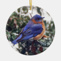 Bluebird oriental sur l'ornement de Noël saint