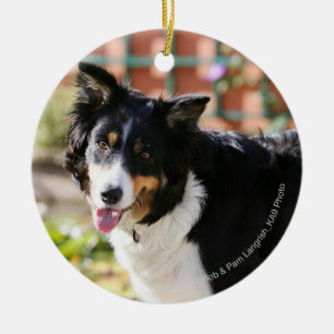 Décoration En Céramique Border collie haletant 1