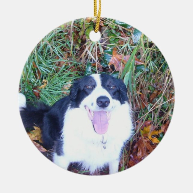 Décoration En Céramique Border collie heureux (Devant)