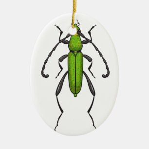 Décoration En Céramique Bousier vert