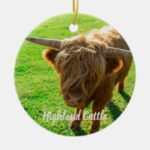 bovin de Highland bovin pour animal et amoureux de