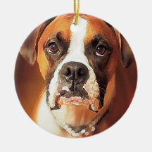Boxer à l'aquarelle