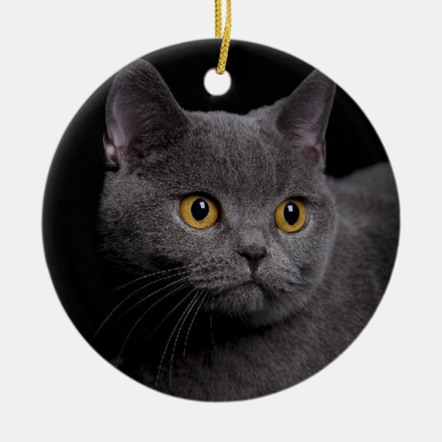 Décoration En Céramique British Shorthair (Devant)