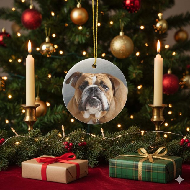 Décoration En Céramique Bulldog Face - Bulldog anglais, Brown (Créateur téléchargé)