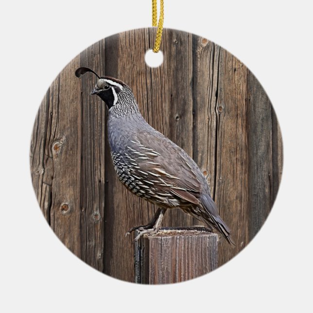 DÉCORATION EN CÉRAMIQUE CALIFORNIA QUAIL À BARNBOARD (Devant)