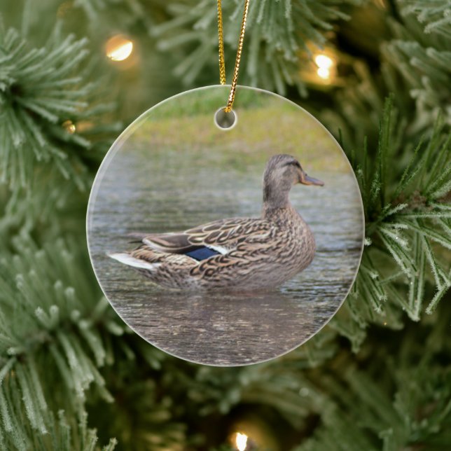 Décoration En Céramique Canard de Mallard dans une flaque (Arbre)