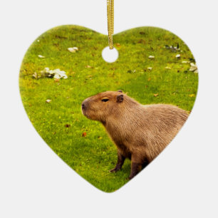 Décoration En Céramique Capybara