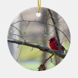 Décoration En Céramique Cardinal dans l'arbre