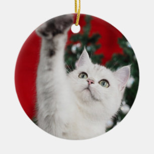 Décoration En Céramique Cat blanc XMAS