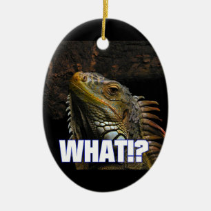 Décoration En Céramique Ce qui ! ? Iguane
