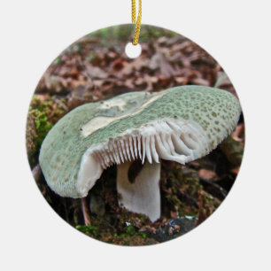 Décoration En Céramique Champignons verts - Russula crusosa