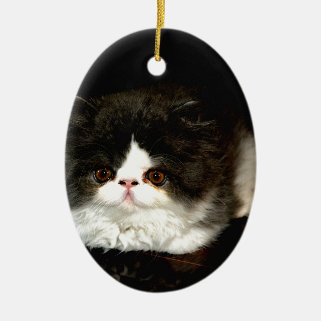 Décoration En Céramique Chat chaton blanc noir mignon (Devant)