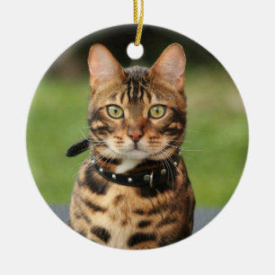 Décoration En Céramique Chat de tigre du Bengale