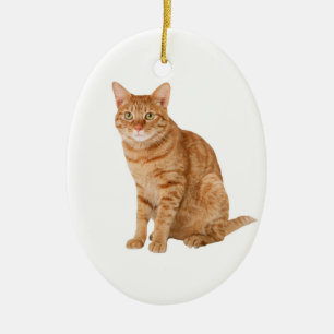 Décoration En Céramique Chat orange