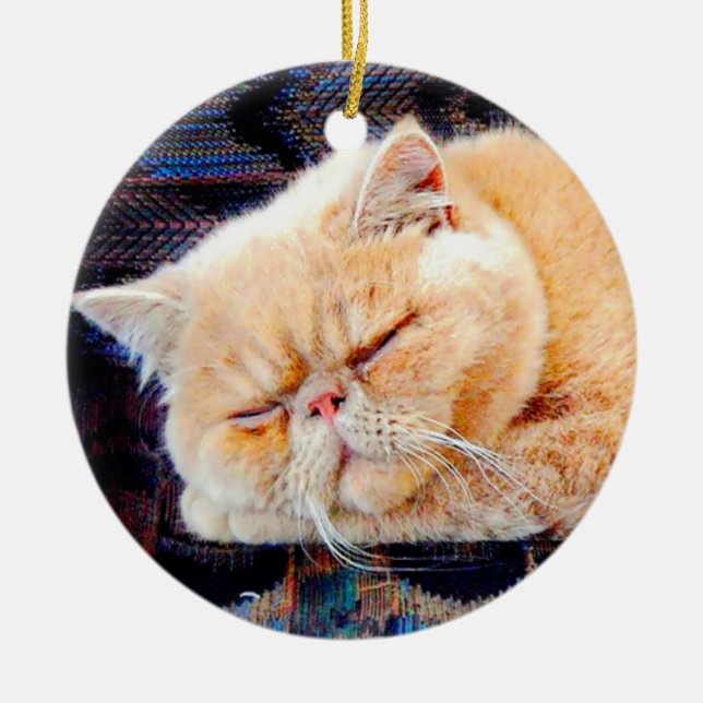 Décoration En Céramique Chat persan orange (Devant)