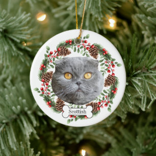 Décoration En Céramique chat pliant écossais