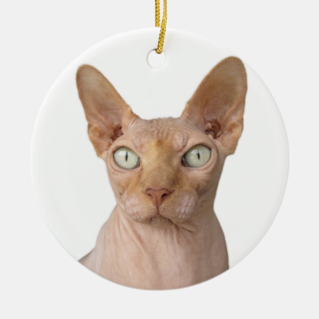 Décoration En Céramique Chat Sphynx sans cheveux (Devant)