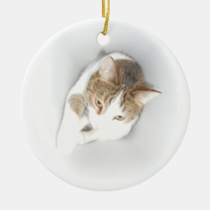 Décoration En Céramique Chat surréaliste dans la lumière