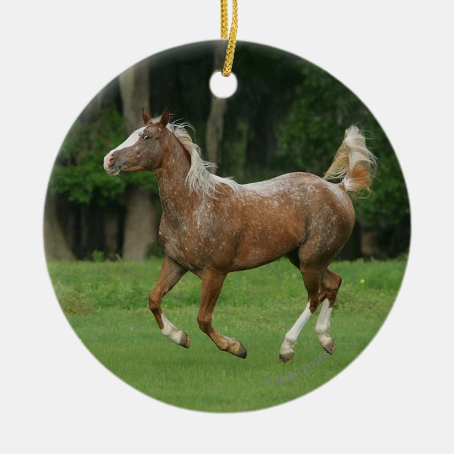 Décoration En Céramique Cheval de l'Appaloosa (Devant)