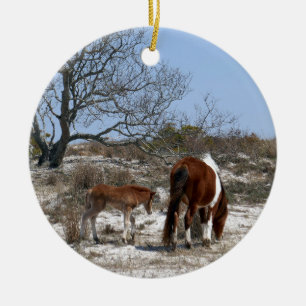 Décoration En Céramique Cheval de mère et de bébé à Assateague