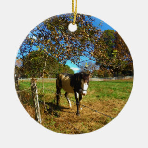 Décoration En Céramique Cheval Peint,