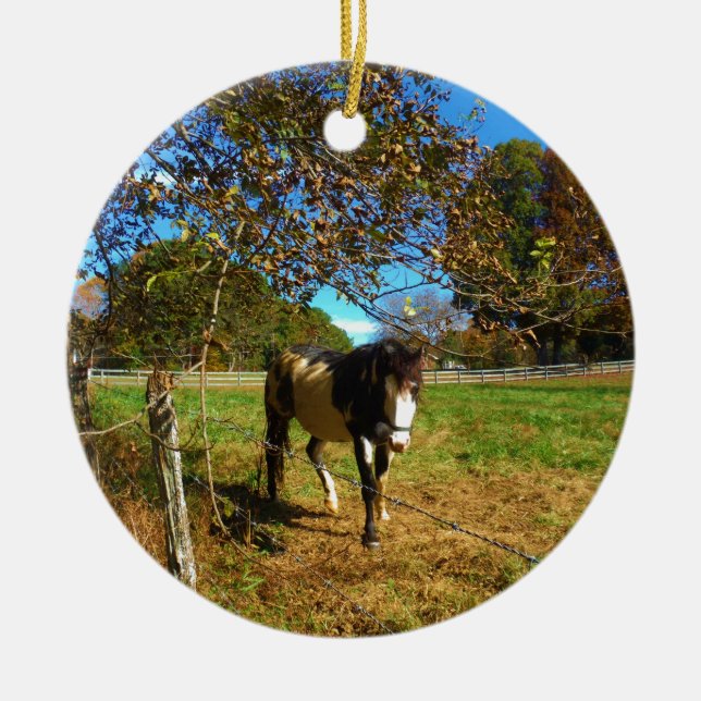 Décoration En Céramique Cheval Peint, (Devant)