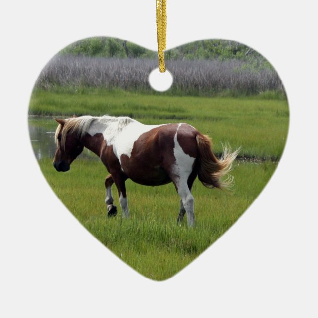 Décoration En Céramique Cheval sauvage d'Assateague (Devant)