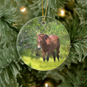 Décoration En Céramique Chevaux sauvages de l'Assateague
