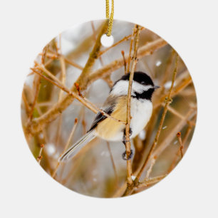 Décoration En Céramique Chickadee au plafond noir - Photo originale
