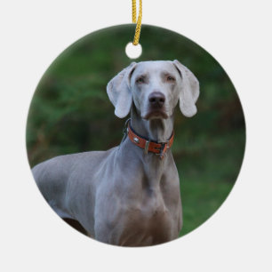 Décoration En Céramique Chien à chiots de Weimaraner