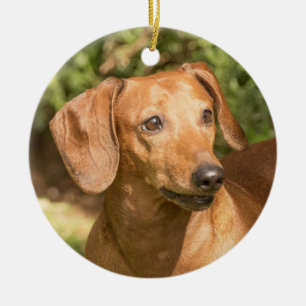 Décoration En Céramique Chien Doxie Brown Dachshund