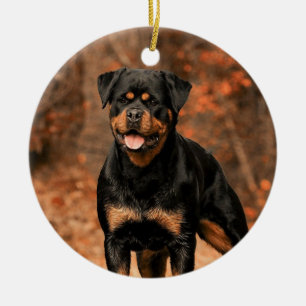 Décoration En Céramique Chien Rottweiler