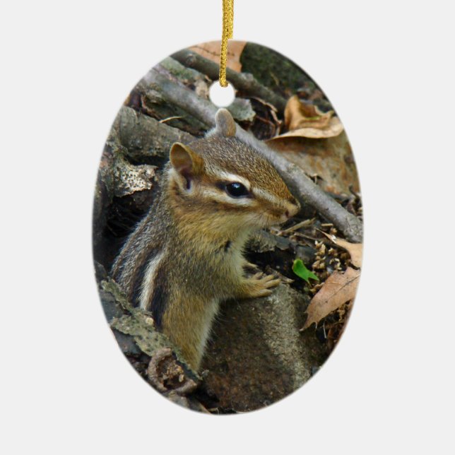 Décoration En Céramique Chipmunk oriental - Tamias striatus (Devant)