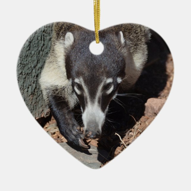 Décoration En Céramique Coati flairé blanc adorable (Devant)